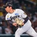 【阪神】３番手で神宮僚介が７回に登板　わずか７球で３人斬り！