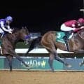 フォーエバーヤングは勝てば日本調教馬史上初の海外Ｇ１・４勝　エイシンプレストン、モーリス、ラヴズオンリーユーも３勝　