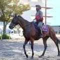 【オールカマー】レガレイラ連覇へ陣営「去年の前よりは雰囲気がいい」５戦３勝と好相性の中山で始動