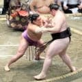 幕内・尊富士が２連勝　昨年秋場所は右腕ケガから１年「幕内で相撲が取れてうれしい」