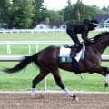 フォーエバーヤング断然人気確実も…安定感光るＧ１馬侮れない　米年度代表馬ソヴリンティは回避