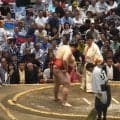 人気力士の背後に“凛”とした女性アスリートの姿 “黄金世代”の異色の存在感に「お相撲お好き！？」ファン注目