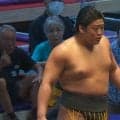 「顔がすごいことに」「左目すげぇ腫れてる」力士の表情にファン困惑「見えてないだろ…」心配の声も