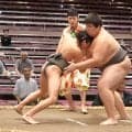 体重58キロの新弟子・新道が初土俵　高校相撲経験者に完敗も「強いことで有名になりたい」