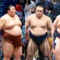 大関取りの熱海富士にとっては最初のハードル　隆の勝とは過去５勝５敗の五分　大きい体を生かせるか
