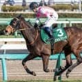 【オールカマー】牝馬では現役最多の中山4勝 エセルフリーダが強敵撃破に挑む