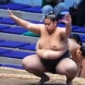 ハプニング！電車が止まってしまった…22歳序二段力士、タクシー移動も間に合わず