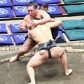 三段目の天照馬が連敗　初場所以来の幕下復帰に向け「ここから全勝すれば戻れる」