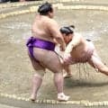 人気小兵の炎鵬が２勝目　中学の同級生・輝から力水で「自分も勝てるように」