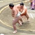 十両・嘉陽、２年ぶりの初日から３連勝「久しぶりなで、逆に調子が狂う。後半に調子を上げるタイプなので」