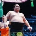 36歳の錦木が玉正鳳を寄り切り今場所初白星「１の２ですから」