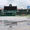 【阪神】プロ集団・阪神園芸の進化と真価　昨オフ改良した外野芝生の水はけ効果てきめん