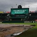 【阪神】17時すぎに甲子園の内野シート撤去　約40人のスタッフ協力　撤去時間はわずか20分