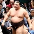 綱取りの霧島が初黒星　高安に手痛い敗戦