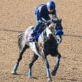 【注目馬動向】新潟記念６着の２３年菊花賞馬ドゥレッツァは中東のバーレーンインターナショナルＴに登録