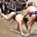 綱とり目指す大関霧島に早くも土　高安の引き技に土俵中央でバッタリ「理解できない」舞の海さん