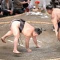 綱取りの霧島が初黒星　高安に手痛い敗戦