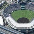 秋季高校野球、地区大会の日程決まる　10地区で選抜大会見据え熱戦