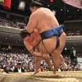 安青錦が驚異の反応で無傷３連勝！背中向けても反転して逆転「危なかった。慌てますよ、やっぱり」