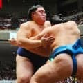 横綱大の里が横綱初挑戦の琴栄峰に何もさせず圧勝３連勝