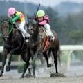 岩手の小林凌騎手が地方通算５００勝を達成　恩師に感謝「自分が腐っている時でも奮い立たせてくれて…」