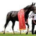 【阪神JS予想オッズ】ジューンベロシティが予想1番人気