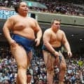 土俵際ヒヤリも安青錦３連勝…八角理事長「地力がある」九重審判長は「足が痛そうな雰囲気」
