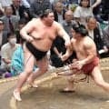 朝紅龍3連勝、高砂幕内4人衆で唯一白星　初黒星の弟には「悪い相撲で負けたわけではない」