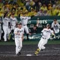 【阪神】森下翔太の一打で選手一斉にベンチ飛び出す　優勝争いの重圧、生みの苦しみ表すシーン