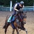 【今週のトク注新馬】エフフォーリア産駒シホノノービレは母の姉妹に重賞馬３頭　佐藤悠調教師「走りがきれいで…」