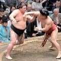 朝紅龍が３連勝　初黒星の弟・朝翠龍にはエール「悪い相撲ではない」