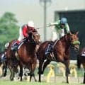 柴田善臣騎手とのコンビで最多勝利　１５３勝をマークした高橋祥泰元調教師　タイキフォーチュンでＧ１制覇に「色々な思い出を一緒に…」