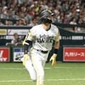 【ソフトバンク】周東佑京２試合連続欠場　試合前練習のフリー打撃で柵越えも放ち「大丈夫です」