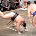 綱取り霧島　３日目で早くも１敗、高いレベルの優勝に向けて痛恨…九重審判長は序盤戦について「これ以上は負けられない」