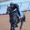 【オールカマー】現役屈指の“中山巧者”コスモキュランダが昨年８着の雪辱へ　加藤士津八調教師「問題なく順調です」