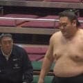 「なんだこの髷」「初めて見た」大相撲秋場所、前相撲で“思わぬ丁髷スタイル”に熱視線