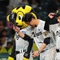 【阪神】聞こえてきたDeNAの足音、対照的な７連敗と７連勝　直対５戦残し気づけば５・５差