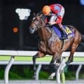 【シリウスS想定】ラムジェット、リアレストなど15頭