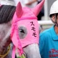 競走中止の スモモモモモモモモは骨折判明　ＳＮＳで心配の声相次ぐ「お大事に」「アイドルホースだから…」１５日の大井２Ｒ