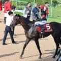 【注目馬動向】春２冠の雪辱へセントライト記念４着のアスクエジンバラは菊花賞に挑む