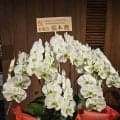 「野球もケンカも強い」浪商に憧れた張本勲さん、プロ入りをつないだのも中島監督／寺尾で候
