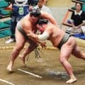 幕下３枚目の大喜翔が初の大銀杏　初の十両取組も明生に敗れて２勝１敗