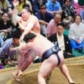 新十両の丹治が３連勝　関取の土俵にも「徐々に慣れてきた」15日間相撲取る喜びかみしめ