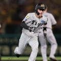 【阪神】福島圭音が登録抹消　70試合に出場して打率２割３分、６盗塁　主に代打や代走で出場