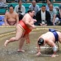 十両・嘉陽が無傷の４連勝　場所前には出稽古の朝乃山らと稽古「圧力を感じられたことが良かった」