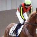 【注目馬動向】ラストチャンス逃した超良血馬が障害転向を視野　９戦未勝利に終わった名牝の初子グランマエストロ