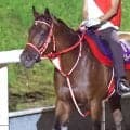 フォーエバーヤングがジョッキークラブゴールドカップ制覇へ万全の追い切り　坂井瑠星騎手「とても良かった」