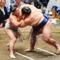 新入幕の朝翠龍が3勝目「流れの中で」一意を肩透かし　兄の朝紅龍は初黒星で兄弟3勝1敗