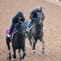 【オールカマー】「流れはある」雨は大歓迎！コスモキュランダは併走遅れも加藤士調教師「調子はいいと思います」