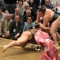 波乱の４日目　横綱大の里、大関安青錦に土　全勝は琴桜だけに　高安が大の里から初金星、通算７つ目　館内騒然